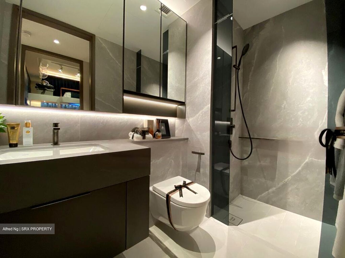 Zion Road (D3), Condominium #475003691